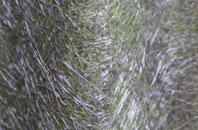 Corriedoo fibreglass roof work